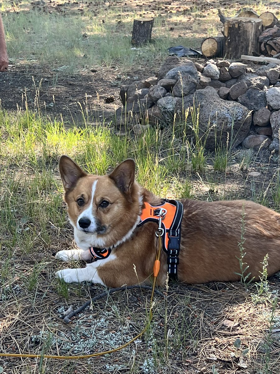 MLL 🎶 tweet media