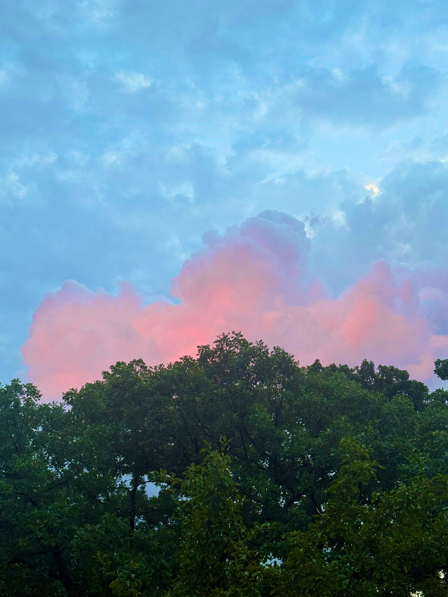 Solitude surrenders under the rouge following the rain. Never truly alone….