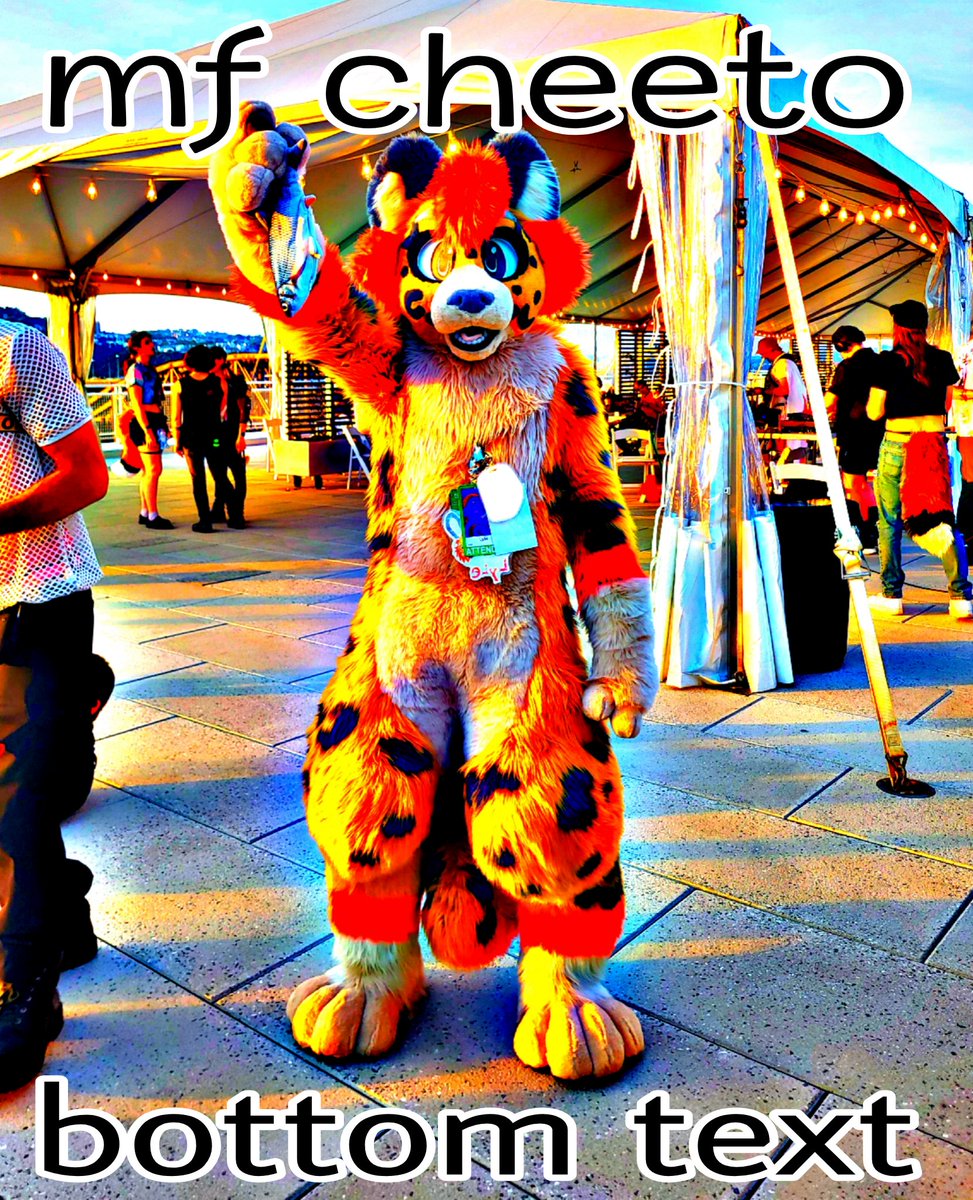 ⋆val↝fur²⋆ tweet media