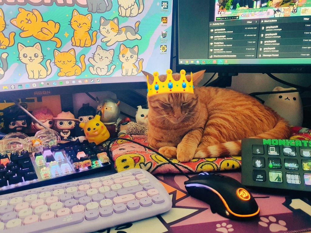 🐱💚🎮🐾 Caturday Vibes: Games, Cats &amp; Giggles!💚🐾😺
Let's go! 😽
Kick.com/monicats 
#KickStreaming #pickkick
