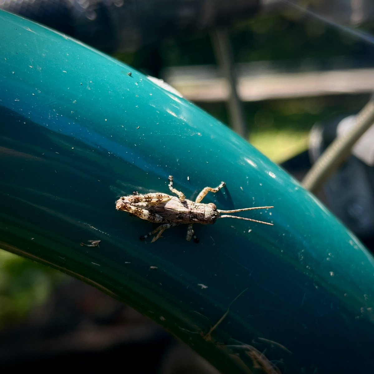 Some cool guys I saw today