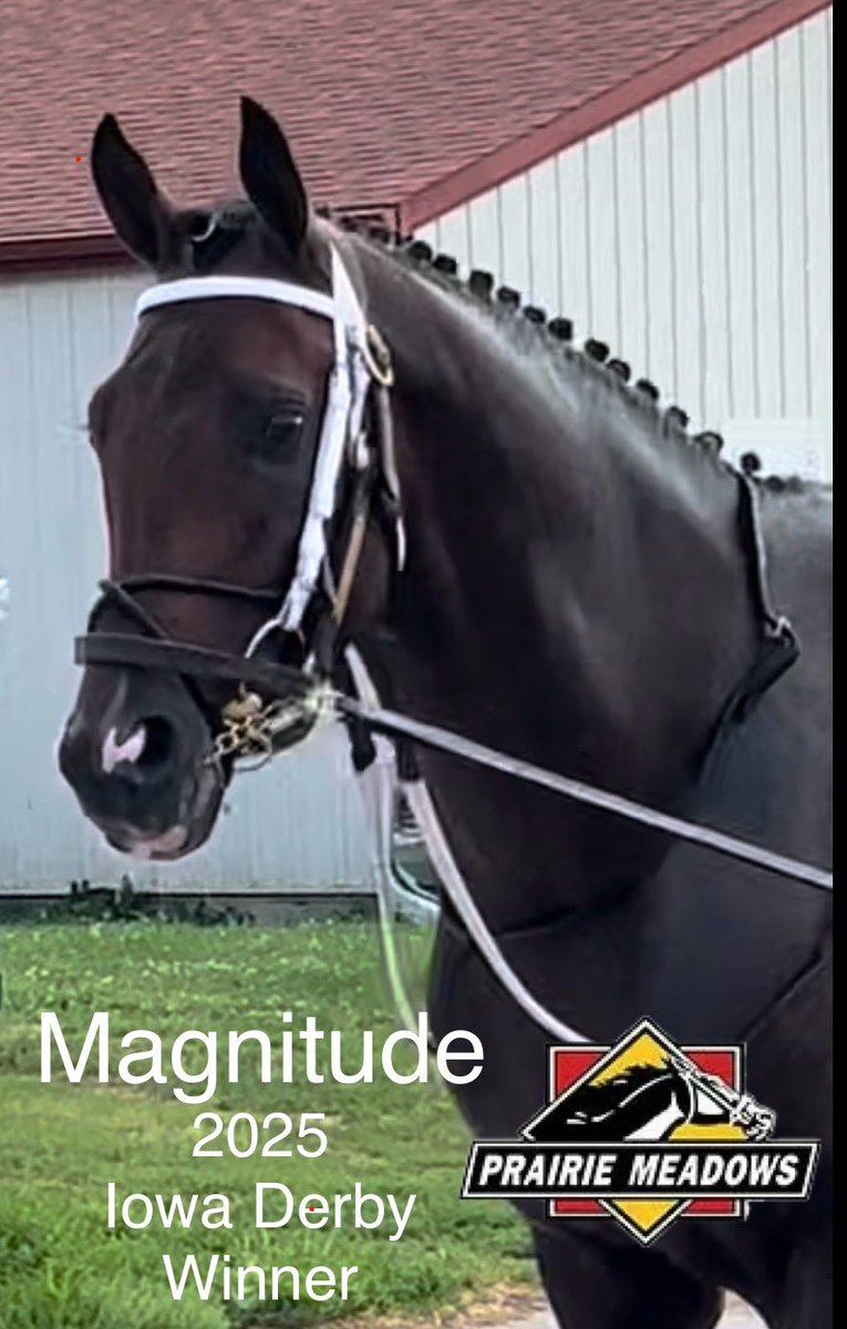 Prairie Meadows (@prmracing) on Twitter photo 