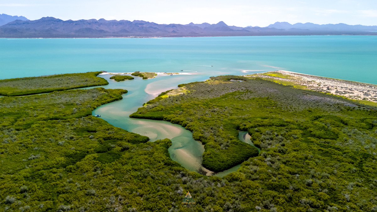 GGerardox2's tweet image. Paisajes que encuentras en la Isla más grande de México.
📍Isla Tiburón, SONORA.