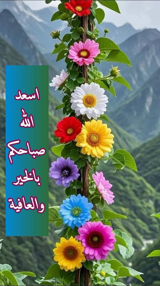 -  لكل قلب أشرق لشروق يوم جديد 
- لكل قلب تفتحت له أزهار الوجود 
- لكل قلب يتأمل الحلم الجميل 
- لكل قلب تنبض بابتسامته الحياة 

صبــــ🌹ــــــاح الأمل والسعادة لقلوبكم❤️💜🩵💙💚