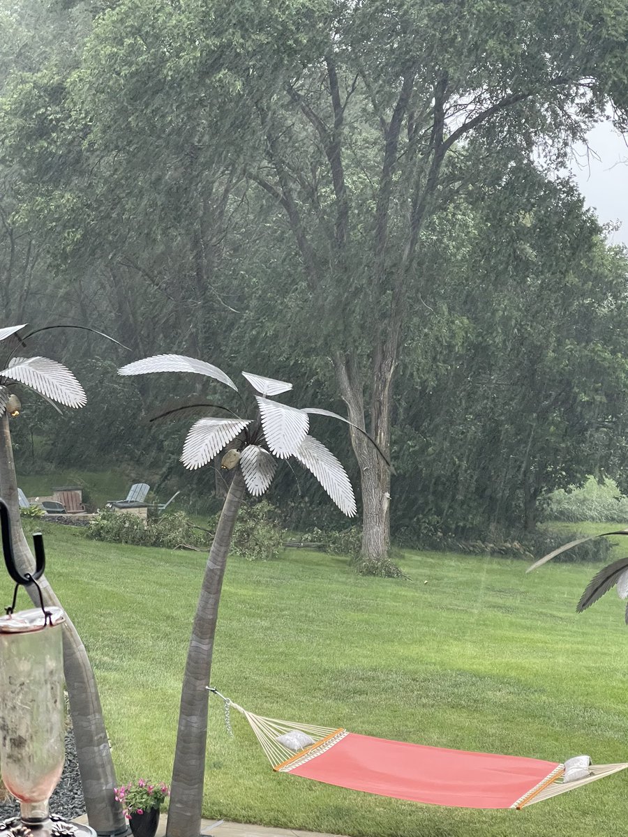 TheRyanMarsh's tweet photo. 6” tree branch just snapped off one of our trees. 48 mph gust NW Polk county  pk1078 @NWSDesMoines https://t.co/FgUq4KxT2h