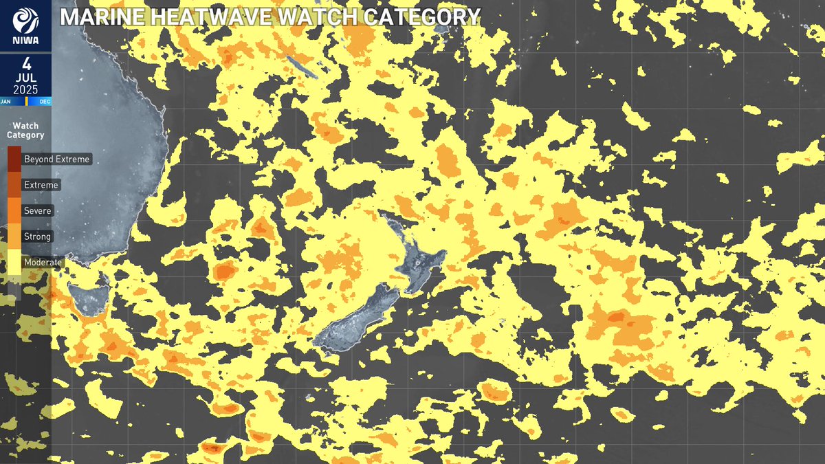 🌊 A persistent marine heatwave is occurring around NZ.

A marine heatwave means 5+ consecutive days of sea surface temperatures well above what would normally occur for that time of year.

🌧️ Rain-bearing systems are tapping into this extra ocean moisture, fuelling heavier rain.