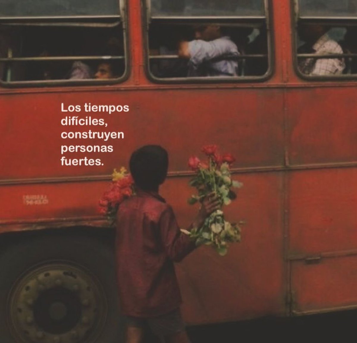 Disciplina (@eligedisciplina) on Twitter photo 