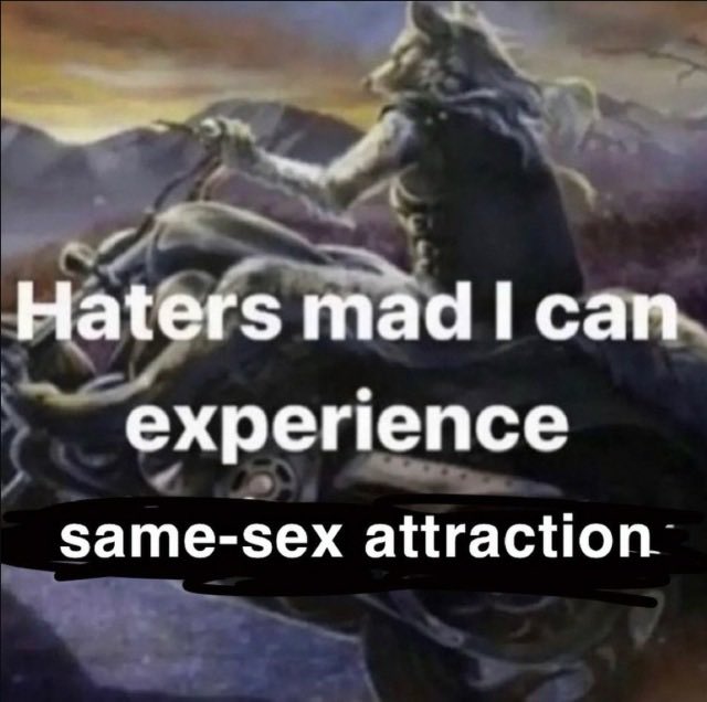 horse dentist (@equine__dentist) on Twitter photo 