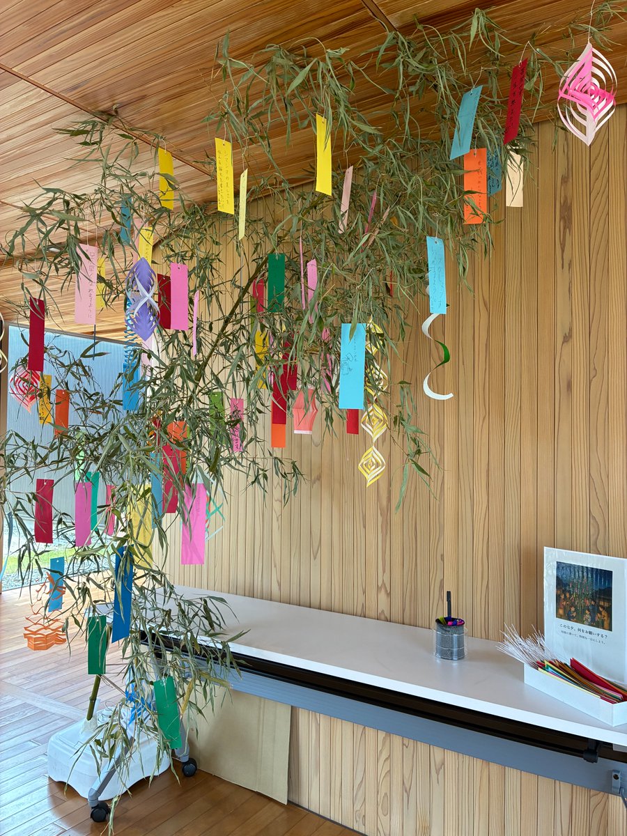 年縞博物館・縄文博物館では、今年も七夕フェスを開催しております！
 
 当館では、
 ・笹の葉へ短冊の飾り付け
 ・限定缶バッジプレゼント
 
以上の2つを行っています。

詳しくは以下の画像をご覧ください！

 #年縞博物館 #縄文博物館 #七夕 #博物館 #博物館巡り