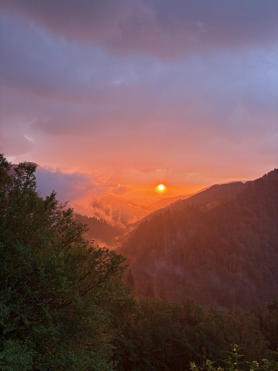 mack_morgann's tweet image. Most beautiful southern state 
#Tennessee