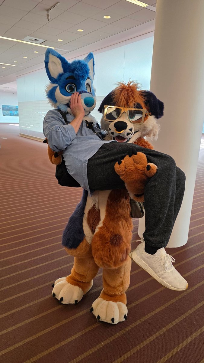 Found this cute little fox roaming around AC an i just had to scoop them up! 

🦊 <a href="/northernbluefox/">North</a> 
📷 <a href="/thatbluebeagle/">Saiiii 🔜 ANE</a>