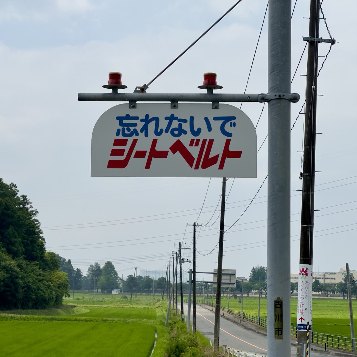 曲名みたいでいい。Tシャツにしたい