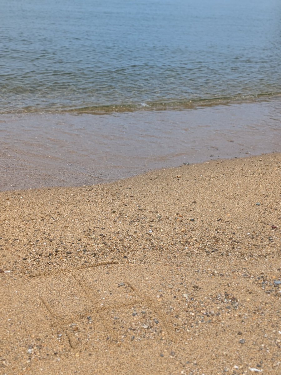 海 Waterfront ウォーターフロント LESS IS MORE ZENTENKOU 折 55cm