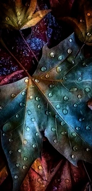 WordsSheen's tweet photo. #vss365
Amidst the golden sky 
and the ocean blue 
Souls captivated 
by the #prismatic hues 
Life, alas a tiny dew 
fading away with time https://t.co/t0LVqf5bVL