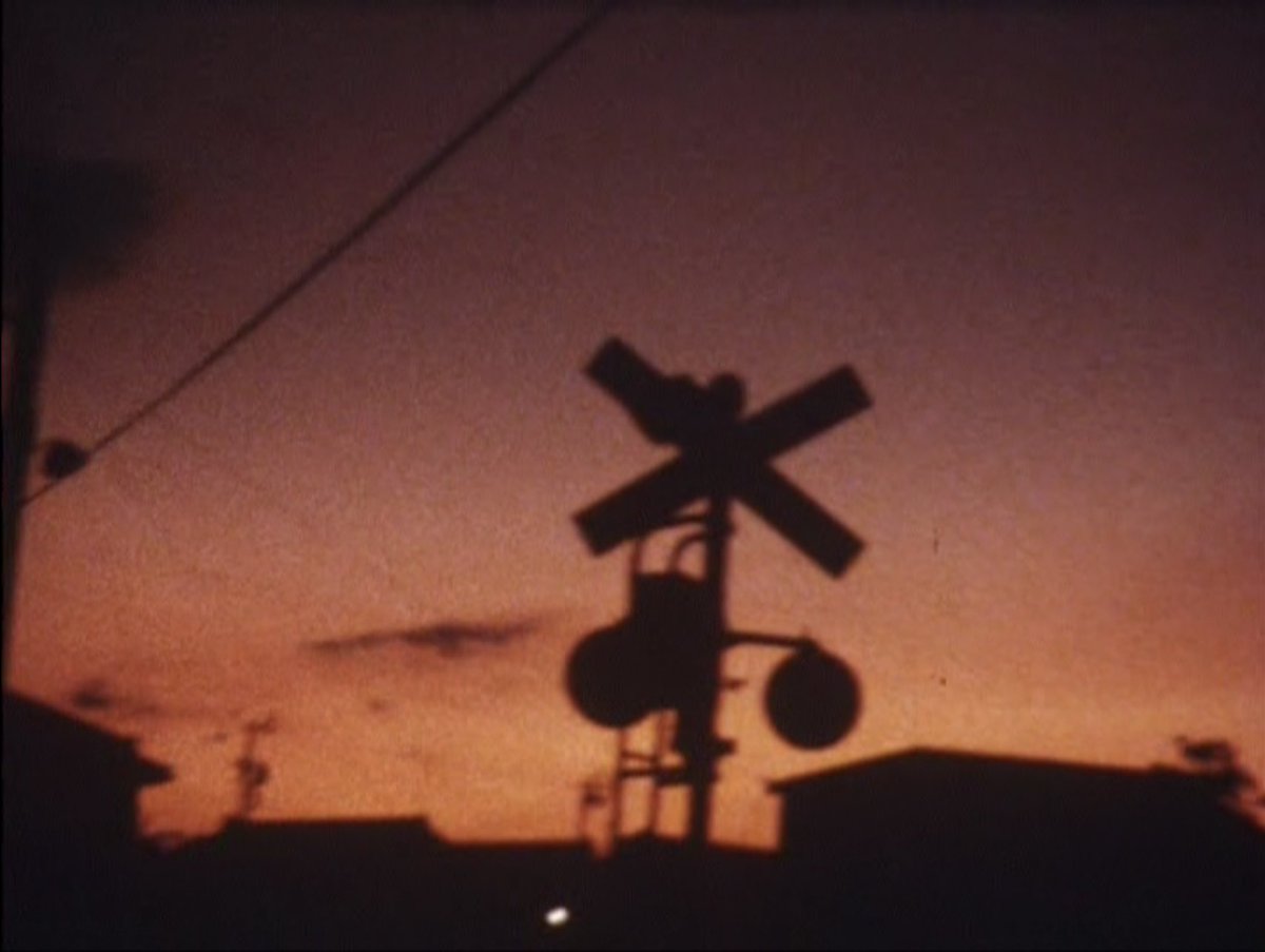 Photograffiti 映画 (eiga) tweet media