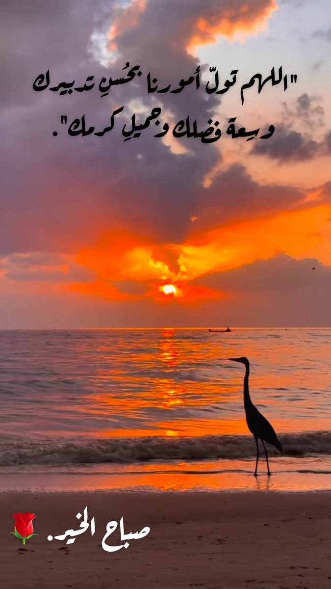 "اللهم تولّ أمورنا بحُسنِ تدبيرك
 وسِعة فضلك وجميلِ كرمك".

#صباح_الخير 🌹