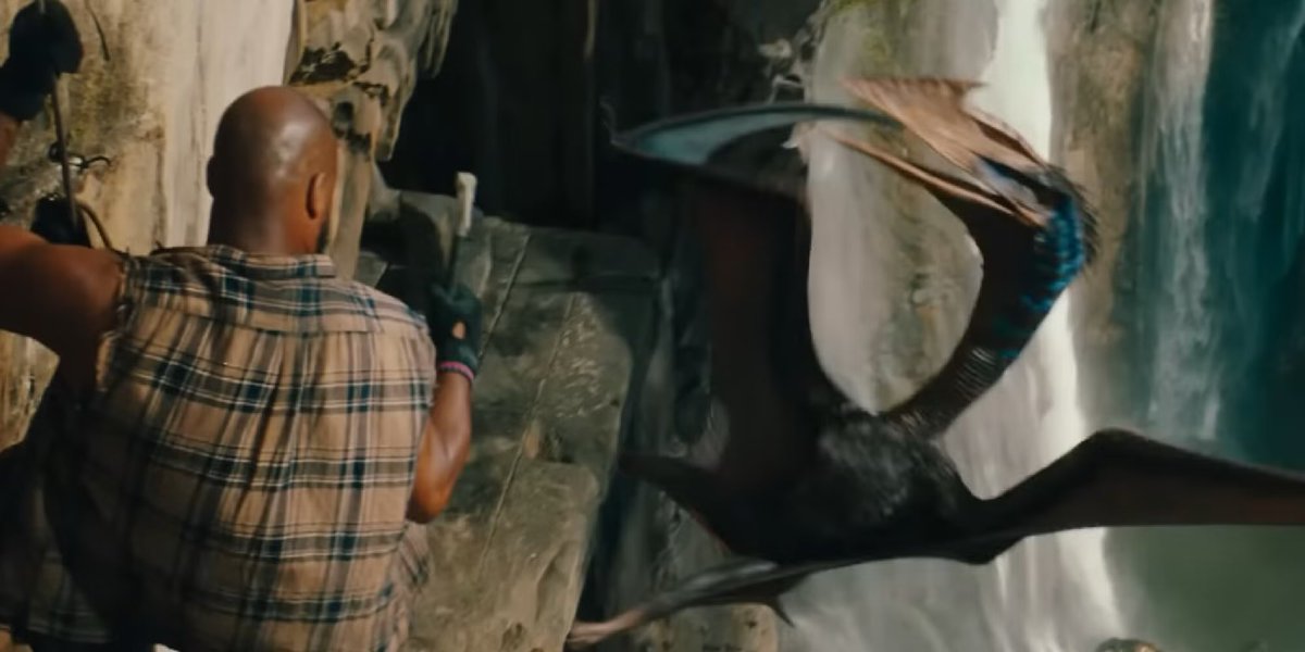 zoë rose bryant tweet media