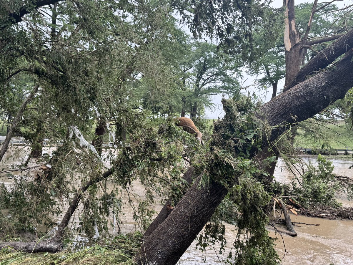 VickG58648's tweet photo. Pray for the victims that been found near the bridge behind my house! https://t.co/4FIzsYNBUC