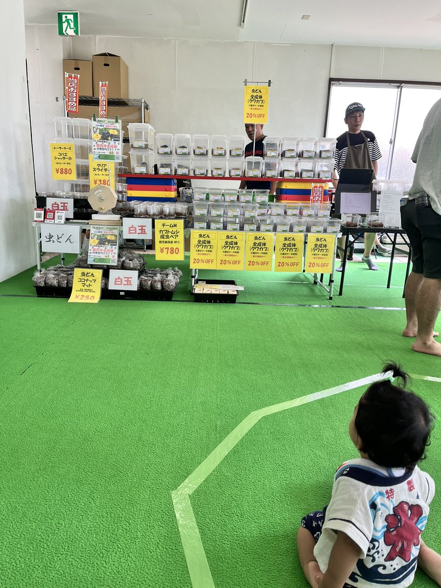 Feel Beetle始まりました！

#昆虫ショップ
#虫どん
#鹿児島県
#キッズサポートリアン