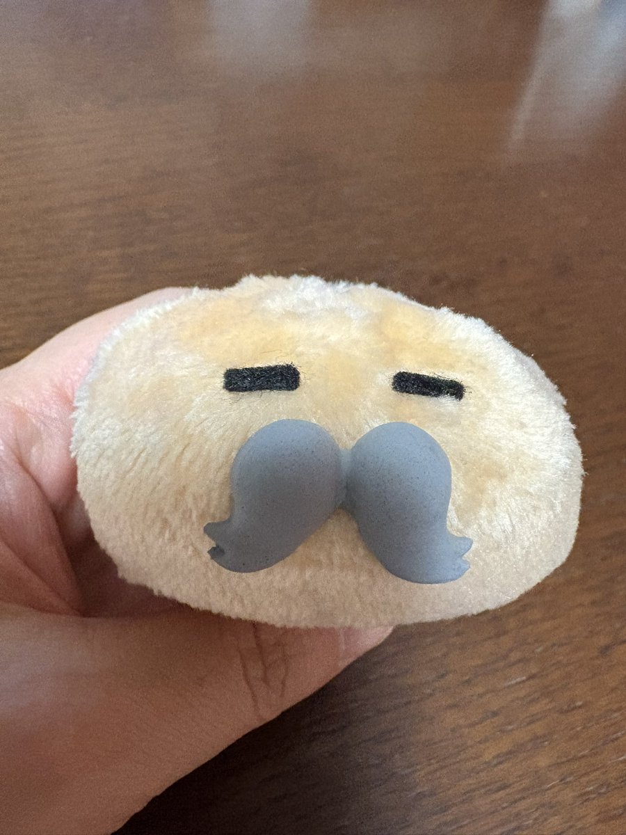 kurogoma_go_go's tweet image. 昨日のデザフェスで即お迎え💕
ようこそ我が家へ…人間が力尽きている間にご挨拶していました😅
じじさん、ようこそのらぁ〜♫
#のらざらし
#デザフェス61
