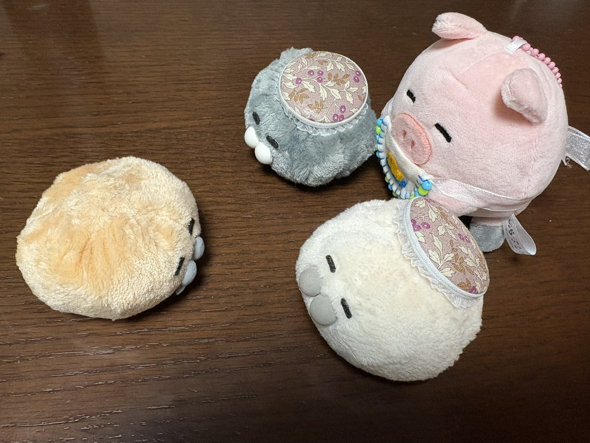 kurogoma_go_go's tweet image. 昨日のデザフェスで即お迎え💕
ようこそ我が家へ…人間が力尽きている間にご挨拶していました😅
じじさん、ようこそのらぁ〜♫
#のらざらし
#デザフェス61