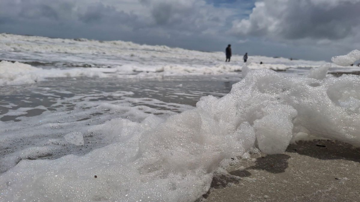 Andrew Dockery (@andrewwmbf) on Twitter photo Rough surf ahead of Chantal created a ton of sea foam today.
📸 Lisa Murphy
#scwx #ncwx #myrwx <a href="/jamiearnoldWMBF/">Jamie Arnold WMBF</a> <a href="/wmbfnews/">WMBF News</a> <a href="/jgreenhillwx/">Jenna Greenhill</a> <a href="/JacePassmore1/">Jace Passmore</a> <a href="/matt_wx/">Meteorologist Matt Bullock</a> Rough surf ahead of Chantal created a ton of sea foam today.
📸 Lisa Murphy
#scwx #ncwx #myrwx <a href="/jamiearnoldWMBF/">Jamie Arnold WMBF</a> <a href="/wmbfnews/">WMBF News</a> <a href="/jgreenhillwx/">Jenna Greenhill</a> <a href="/JacePassmore1/">Jace Passmore</a> <a href="/matt_wx/">Meteorologist Matt Bullock</a>