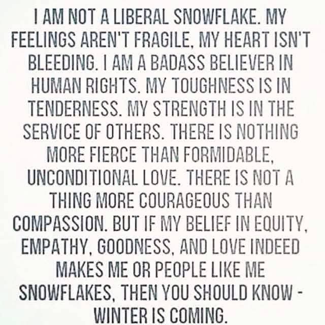 Foster1Nancy's tweet image. I identify as ❄️