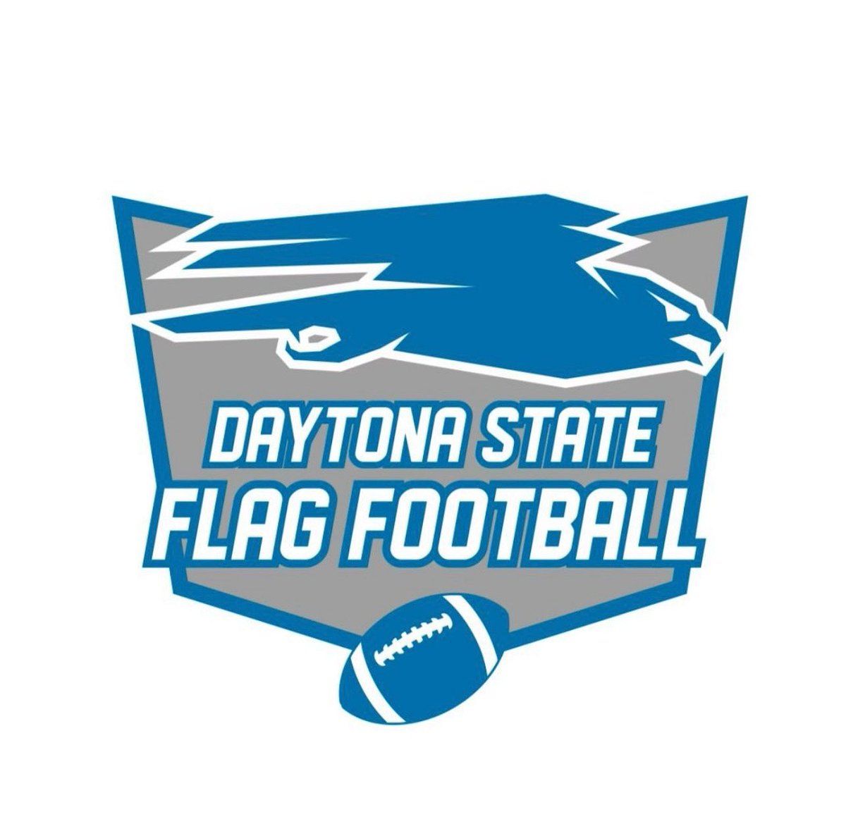 Central_FL_megacamps tweet media