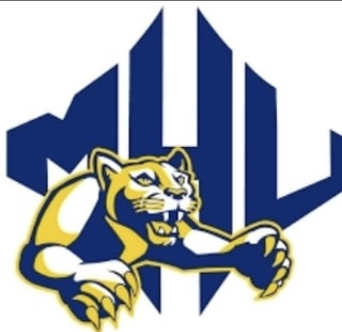 Central_FL_megacamps tweet media