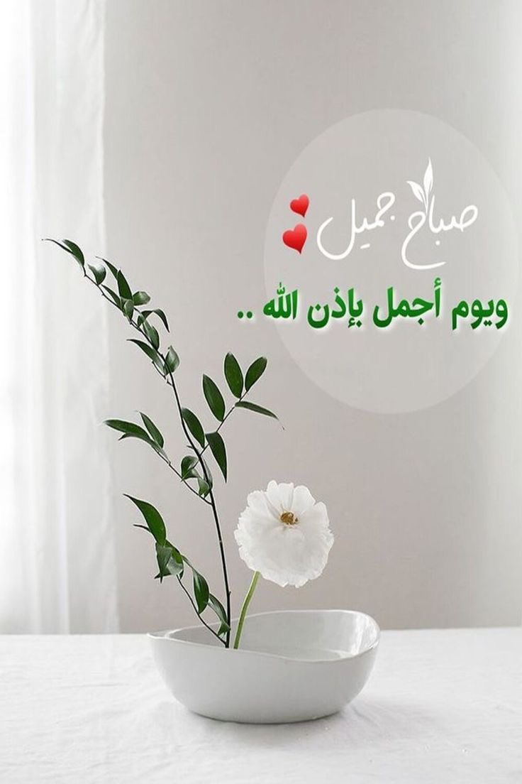 اللهم اجعل لنا في كل خطوة توفيقًا، وفي كل رزق بركة، وفي كل أمر يسيرًا☘️🌸

#صِبّــآحً_آلَخٌــيّر_وِآلَسًعَـــآدُهِ #صِـبّـآحً_آلَأشّــيّآء_آلَمِشّـرقَـة
#اقتباسات
