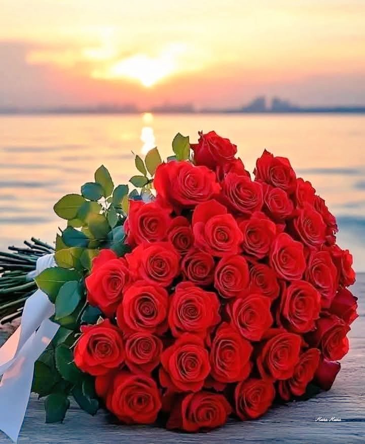 Good morning dearzzz🌹🌹
🌹🌹🌹🌹...Happy Sunday

#SundayMorning 🌹
#GoodMorningXFriends 🌹