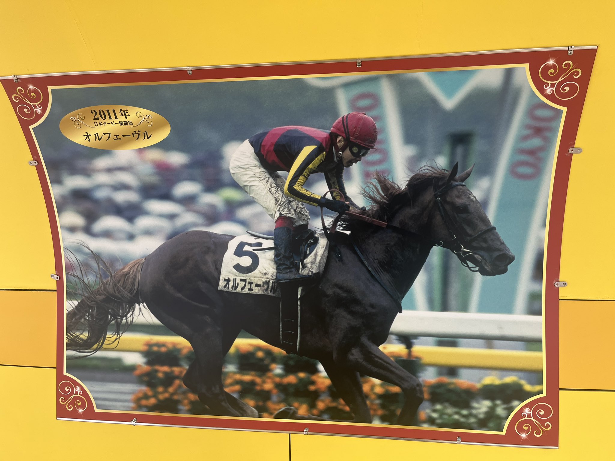 オルフェーヴルオリジナルボトルオープナー 馬と騎手 cube🐴 on X: 