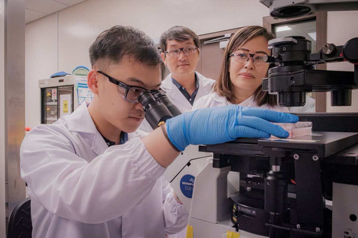 Researchers from NUS and NCCS have developed a hydrogel that enables lab testing of drugs on live abdominal cancer samples. The research could lead to more personalised treatment options for peritoneal metastases, an advanced stage for abdominal cancers.

straitstimes.com/singapore/sing…