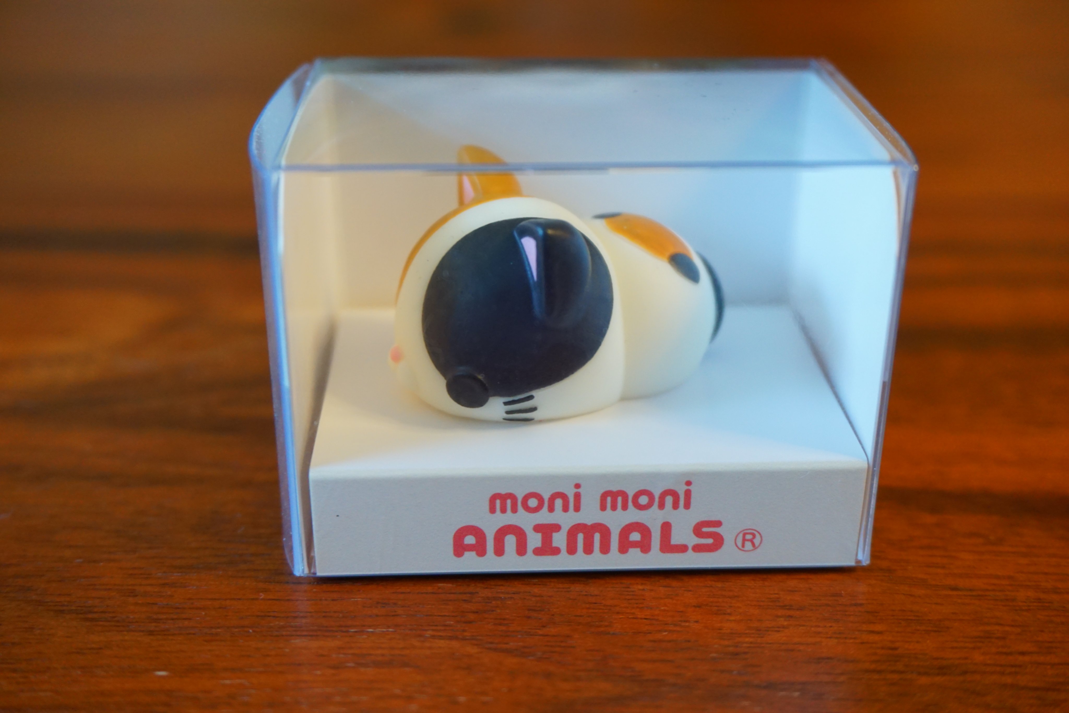 もにまるず ねこのぶーちゃん 2個セット moni moni ANIMALS e696f86c-a70b-439d-ab03-