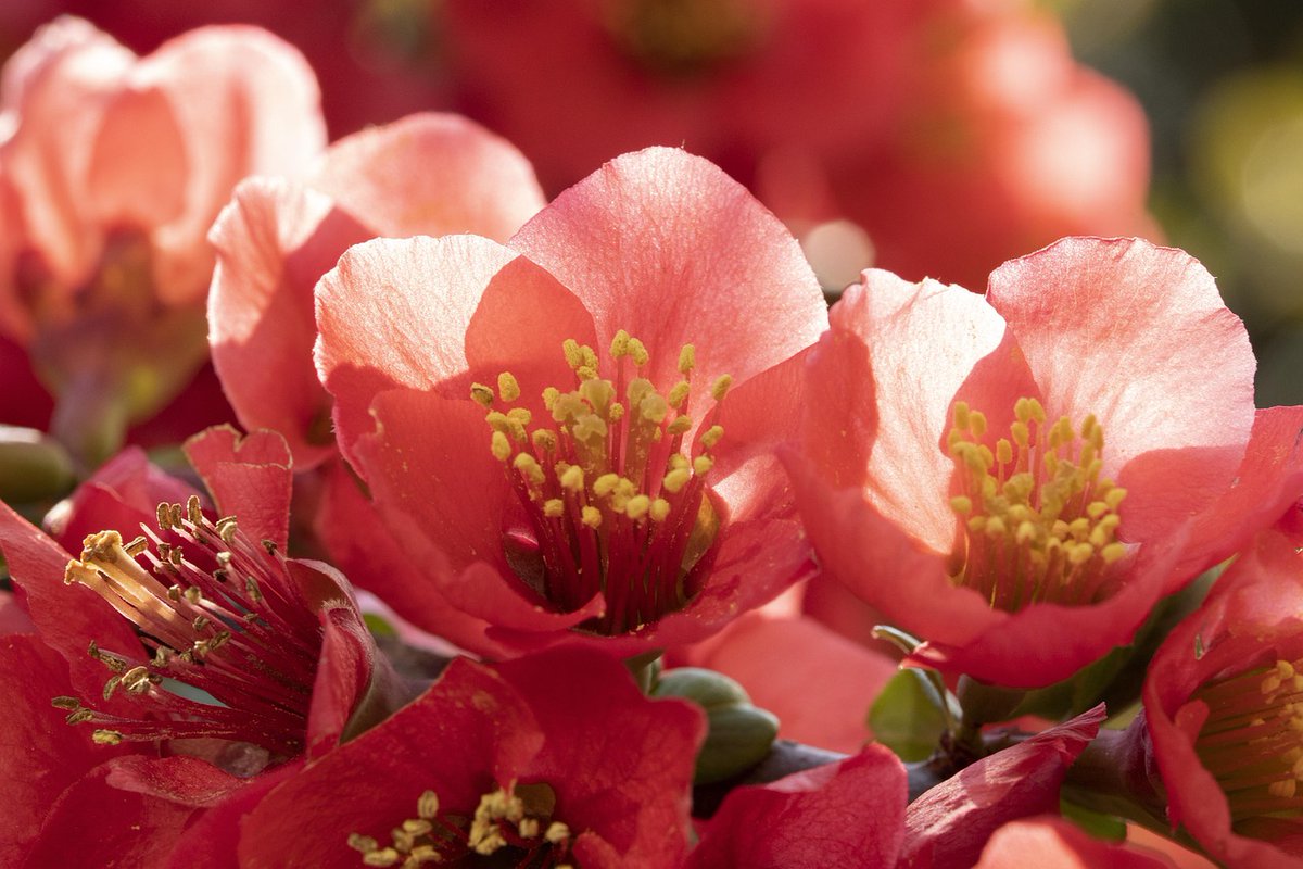 Movement tweet media