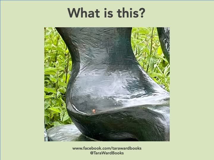 Your #SundayQuiz! Can you work out what it is? #SundayFunday #PicturePuzzle #PhotoQuiz #HaveAGo ...