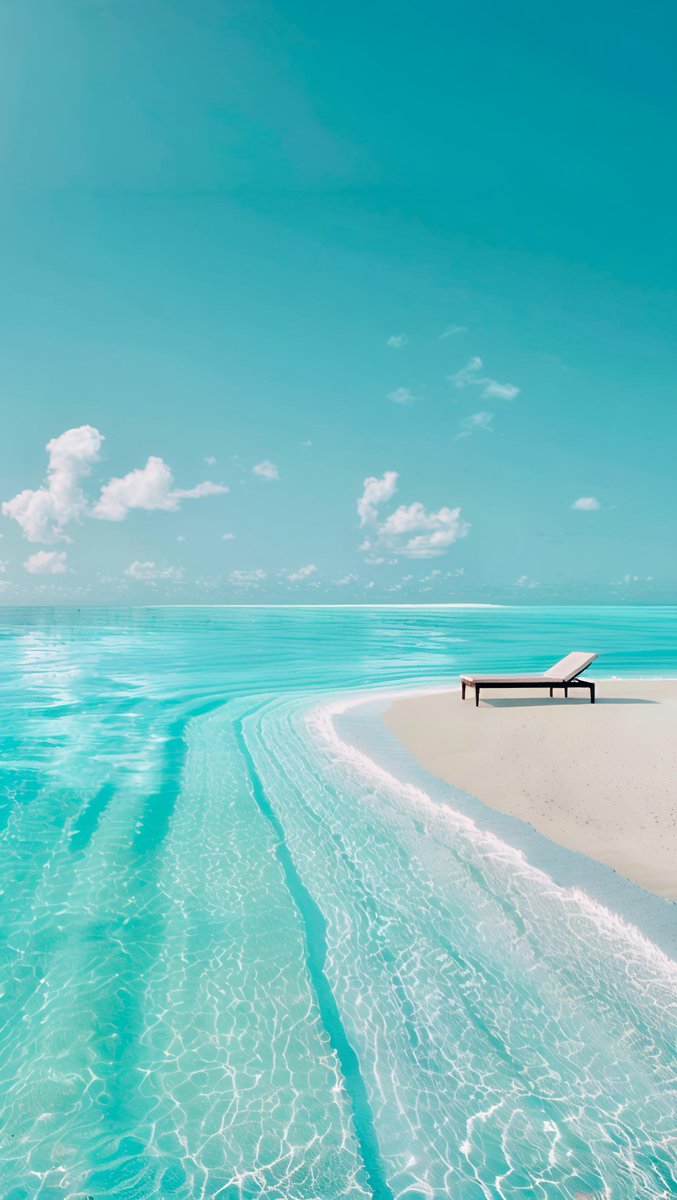Seascape Nature tweet media