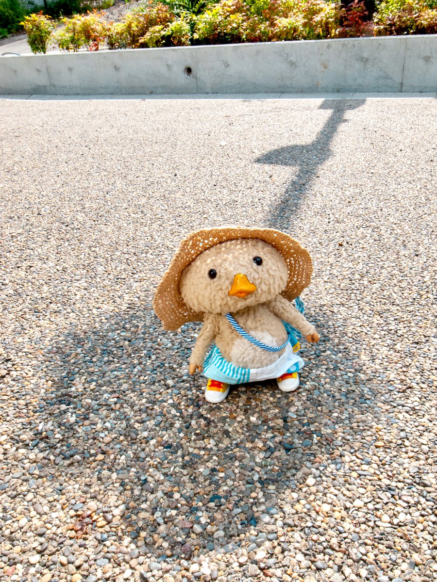 あ、いいとこ見つけた！