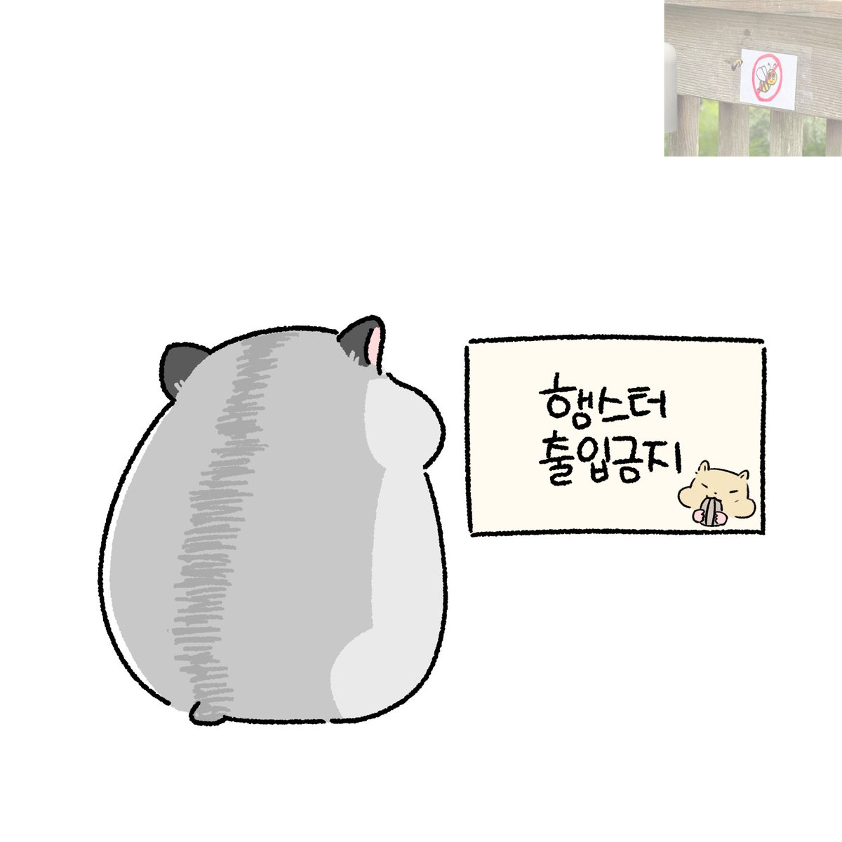 배세진 출입금지