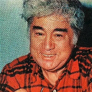 İnsanoğlu naziktir bizim ülkede, ağır sözü kaldırmaz. 
         Eşek dersin kızar da, bin sırtına aldırmaz!
                                              #AzizNesin