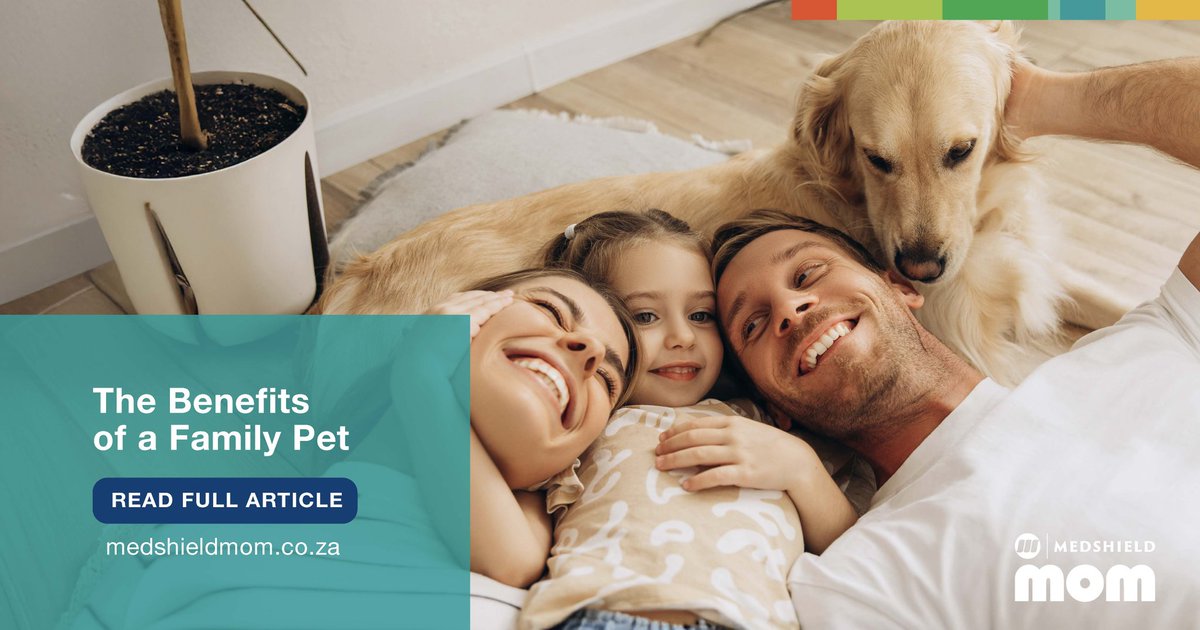 In our latest Medshield Mom article, discover how a family pet can enrich your life - from teaching empathy to boosting daily joy &amp; even supporting your family’s health. 🐾❤️

👉 Read more - bit.ly/4nz4s7V

#MedshieldMom #FamilyLife #PetLove #Health #Moms