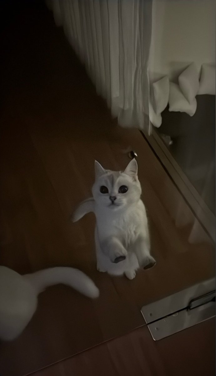 06/07/25  

IG : mixxiw ( Update )    

คนจ๋วยของป๊า 💘

<a href="/wixxiws/">มซ</a> #mixxiw ♡ 
𖥦 #สมพรลูกหมี่ซั่ว