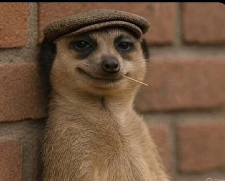 Setisingaone asi tichiona, setisinganzwe asi tichinzwa, setisingade asi tichida. Enjoy your day.