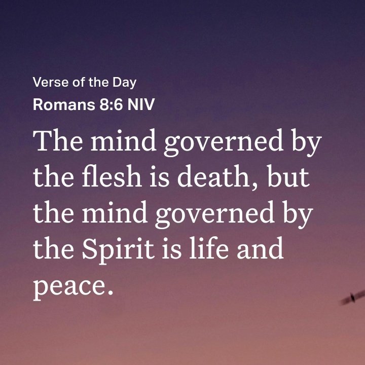 Happy sunday, everyone 🫶🏻💜