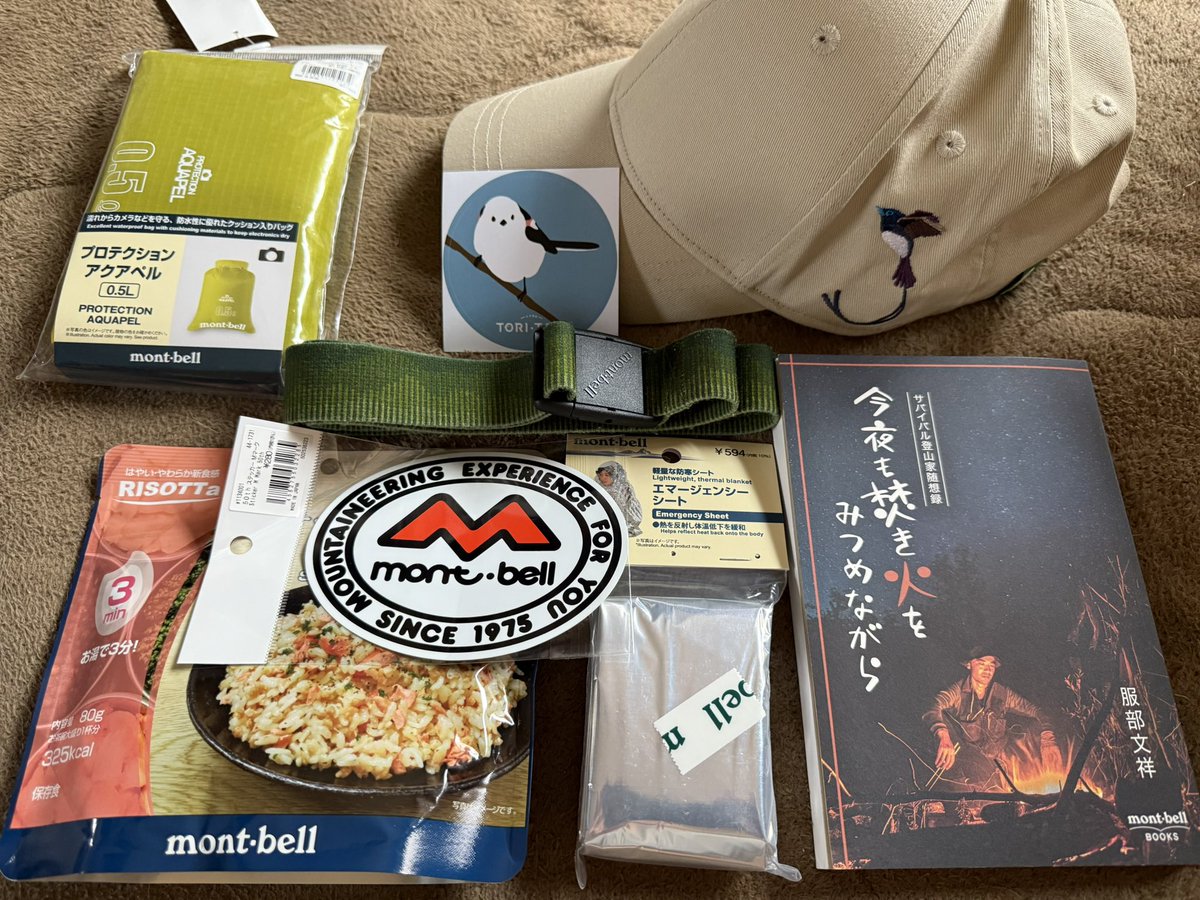 【送料無料（一部地域を除く）】 kinoco (@kinocoforest) / X 洗顔料