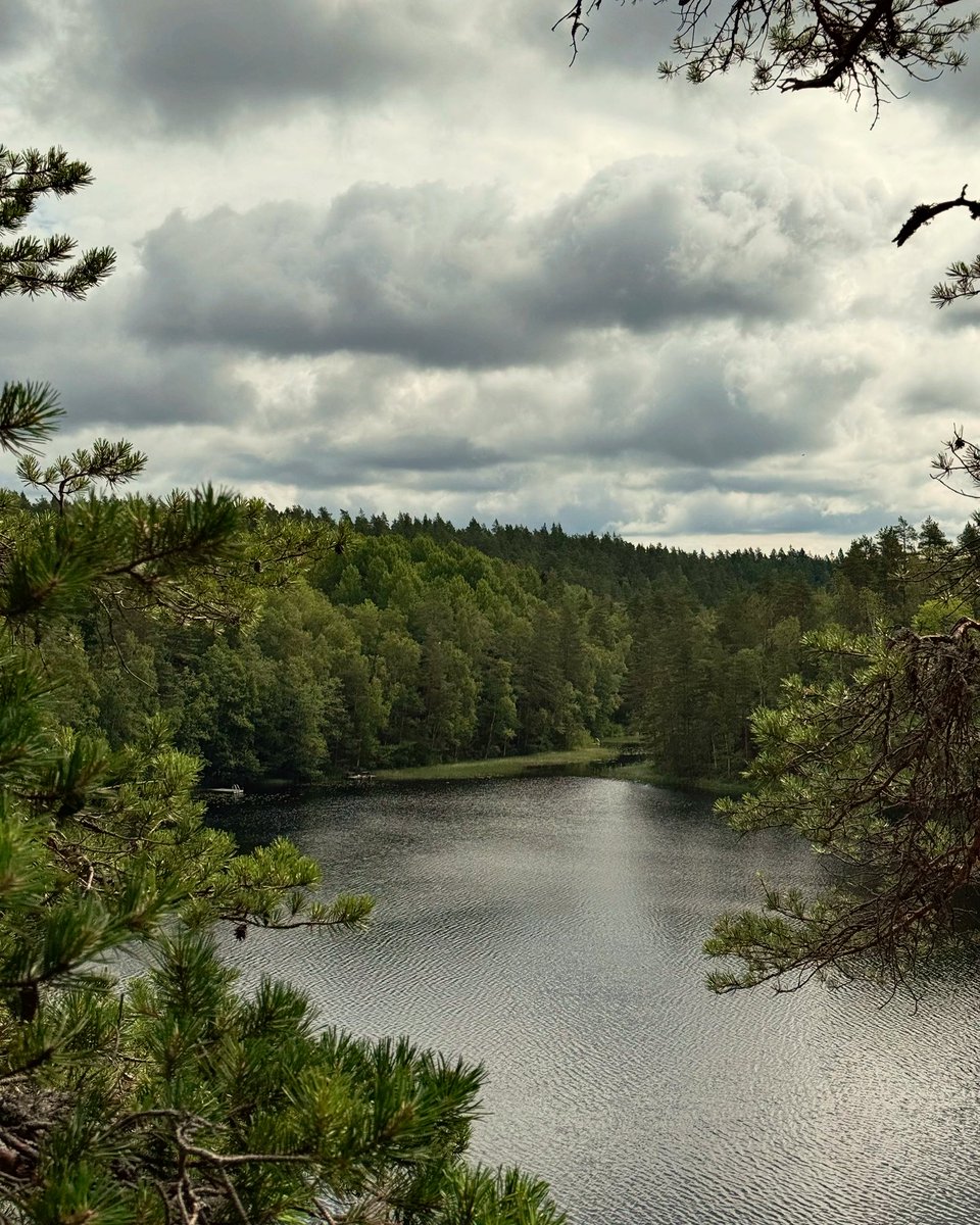 ”On elon aika lyhyt kullakin.
Siis palakaamme lieskoin leimuvin, 
tulessa kohotkaamme korkealle! 
Maa maahan jää, mut henki taivahalle.” 

Eino Leinon päivä, runon ja suven päivä.