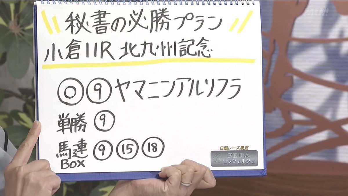 maaya_morinaga's tweet image. 馬連が意外に着いたのも嬉しかったけど、イスラボニータ産駒が勝ったという事が何より嬉しい🥹🩷

ヤマニンアルリフラ、おめでとうございます🎉✨

#北九州記念
