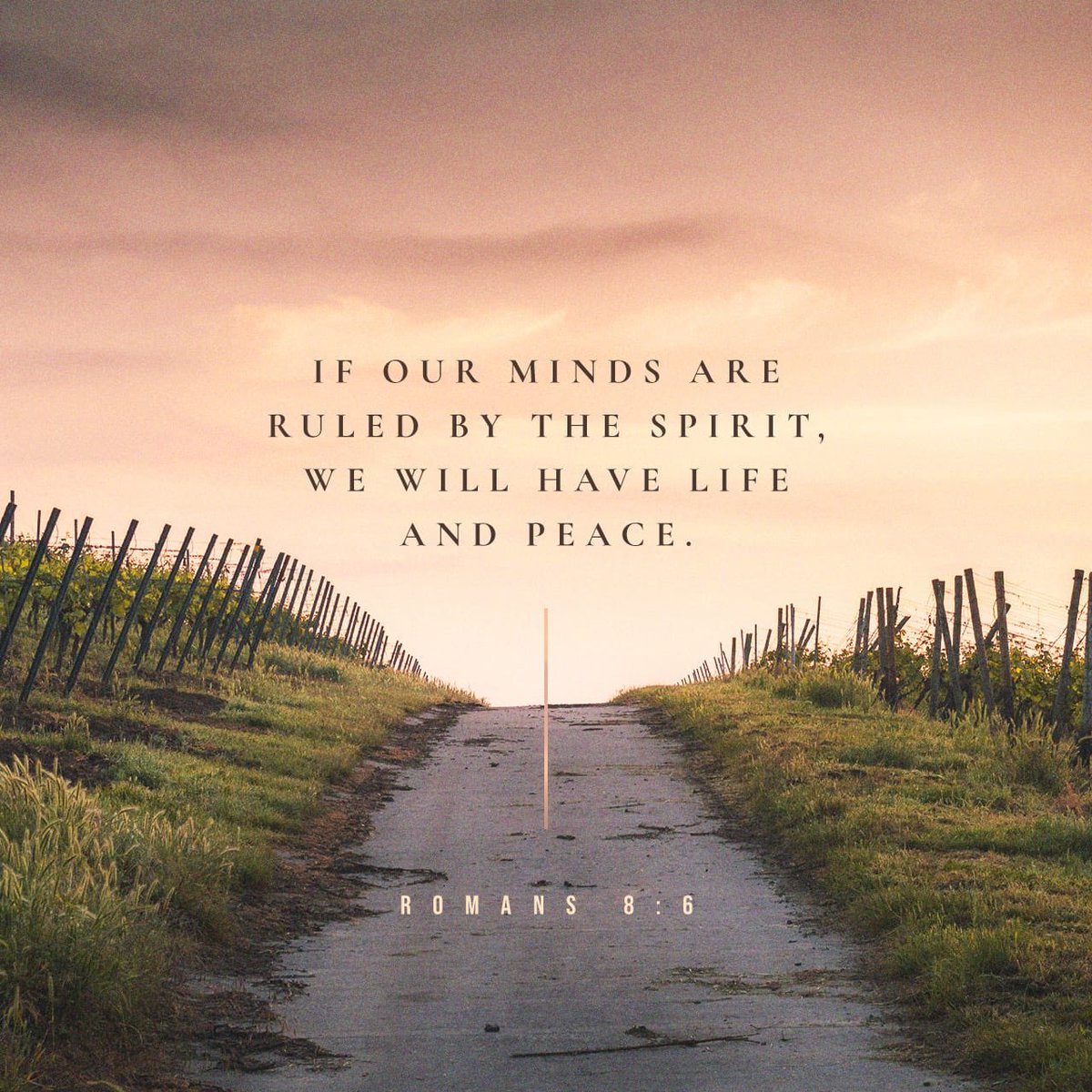 The mind governed by the flesh is death, but the mind governed by the Spirit is life and peace.
