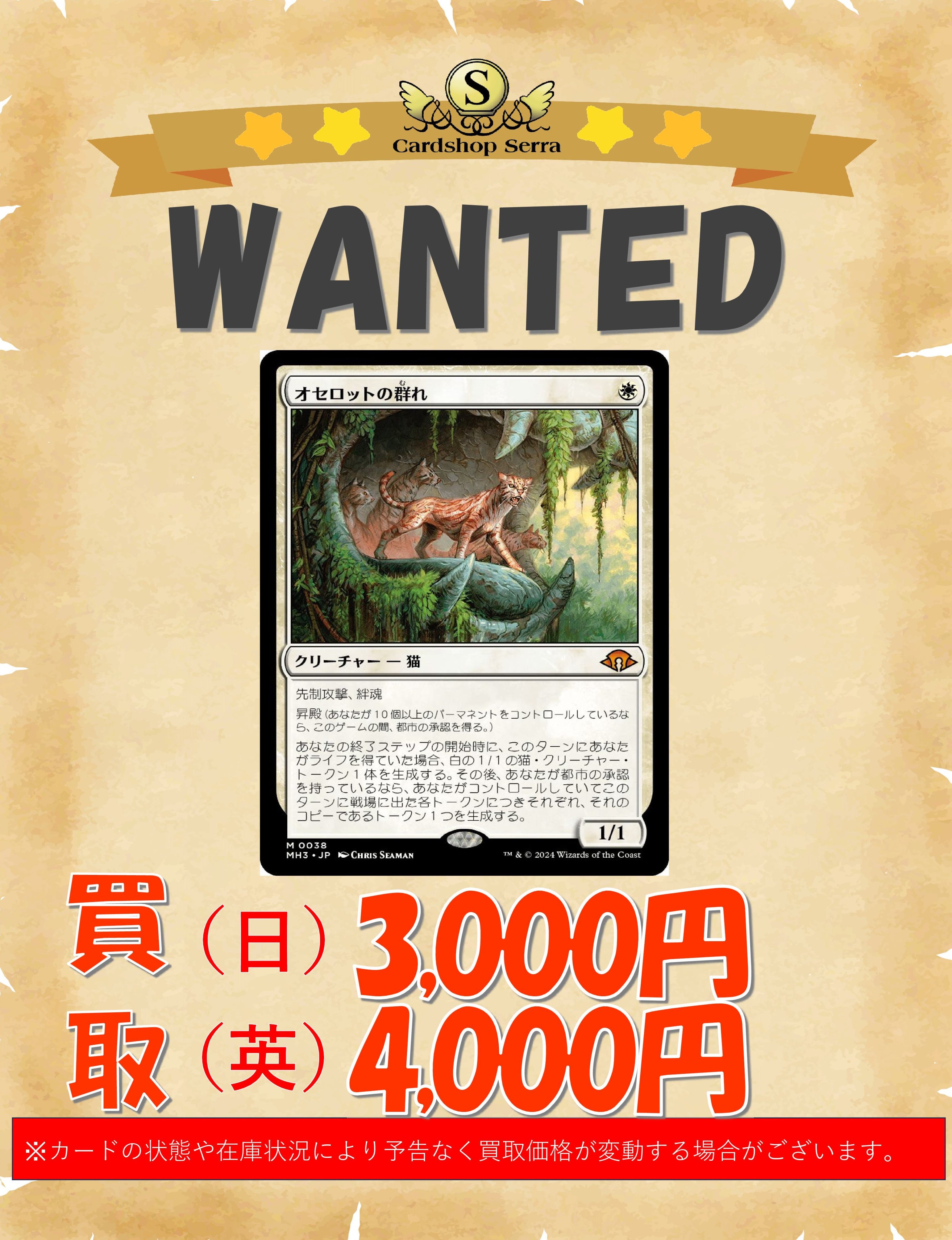 Cardshop Serra＠MtG on X: 