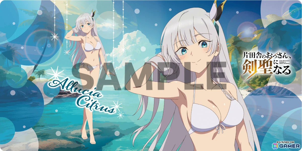 片田舎のおっさん、剣聖になる ほぼ等身大タペストリー アリューシア